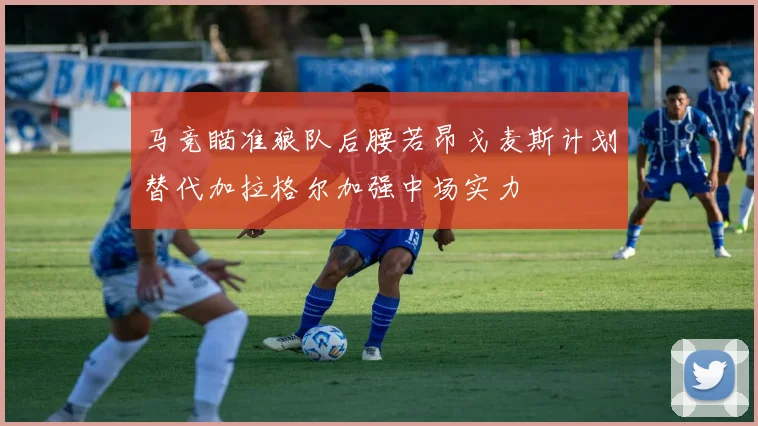马竞瞄准狼队后腰若昂戈麦斯计划替代加拉格尔加强中场实力